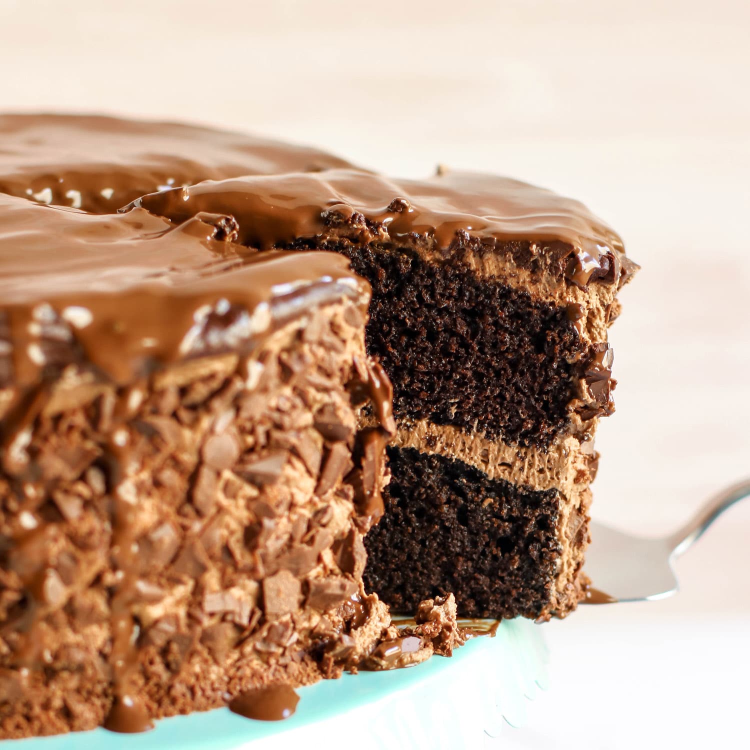 Torta Terapia Cioccolato Salutare