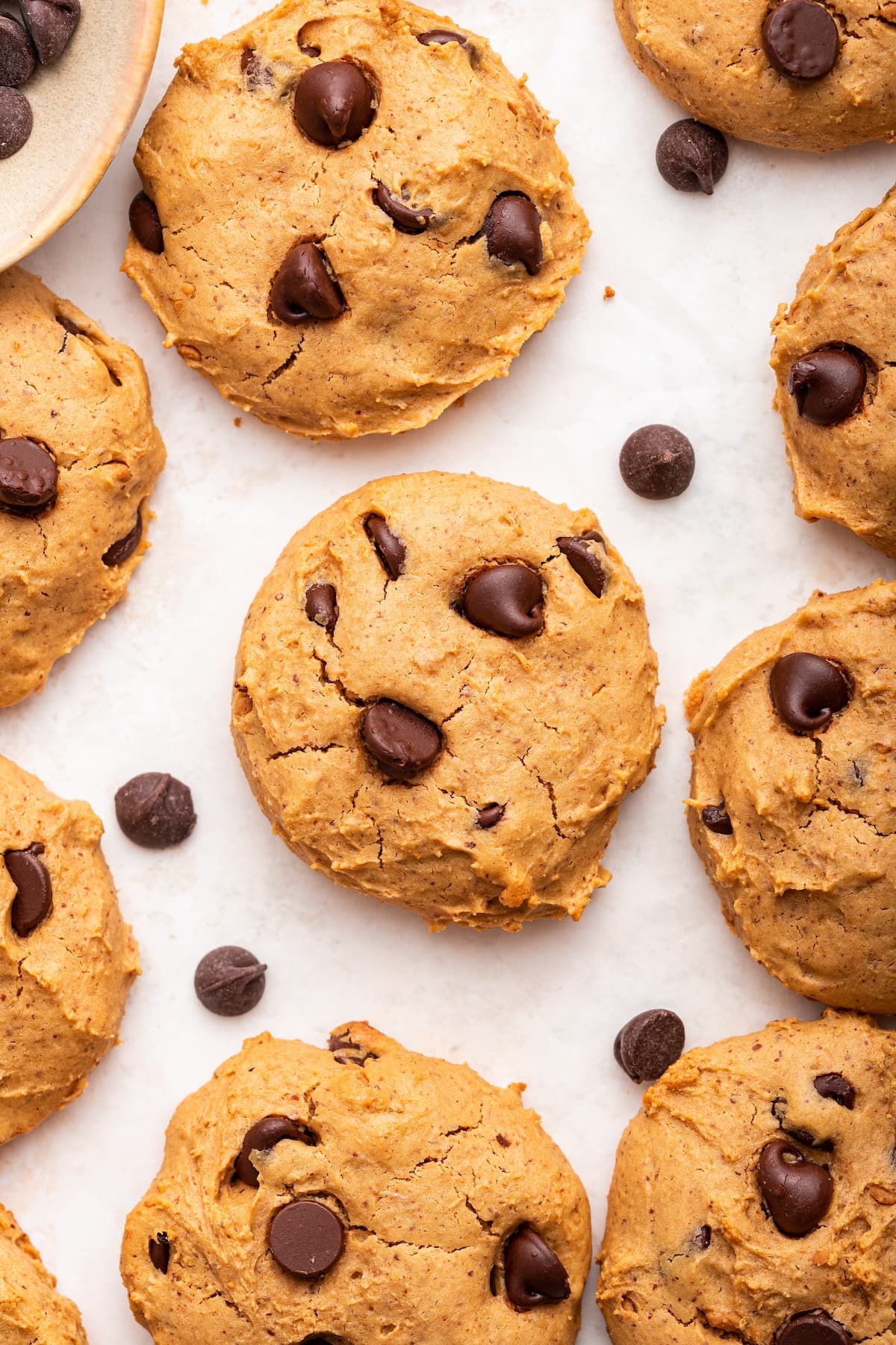 Biscotti Proteici
