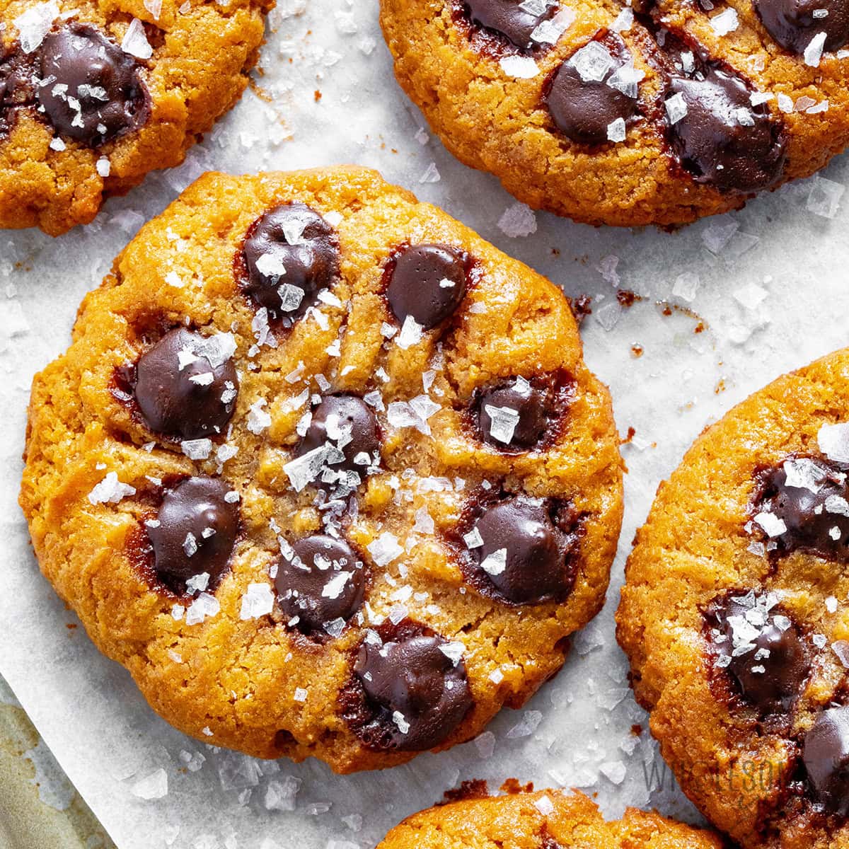 Biscotti Proteici (Ricetta Facile)