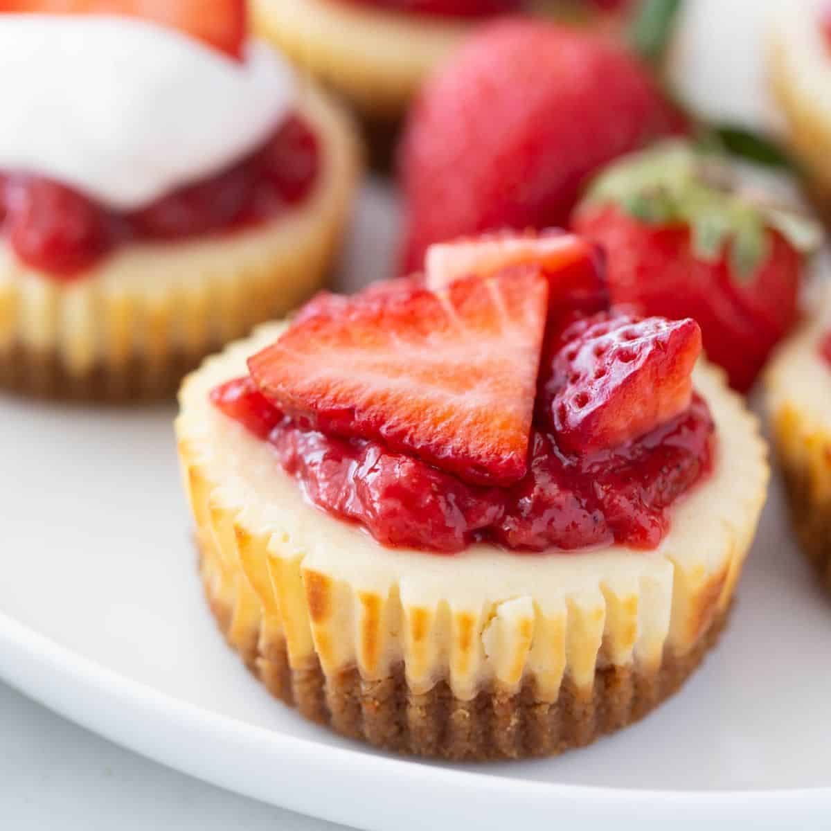 Mini Cheesecake Salutari