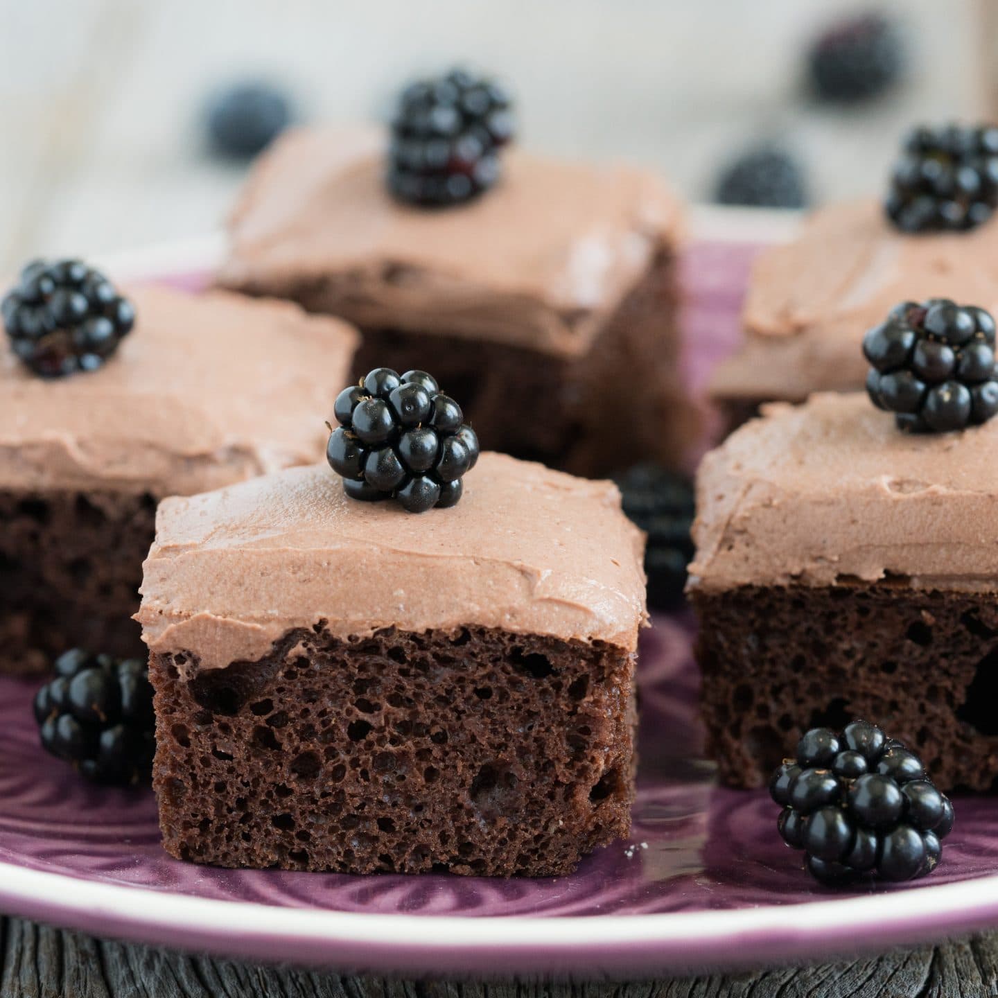 Torta al Cioccolato ad Alto Contenuto Proteico