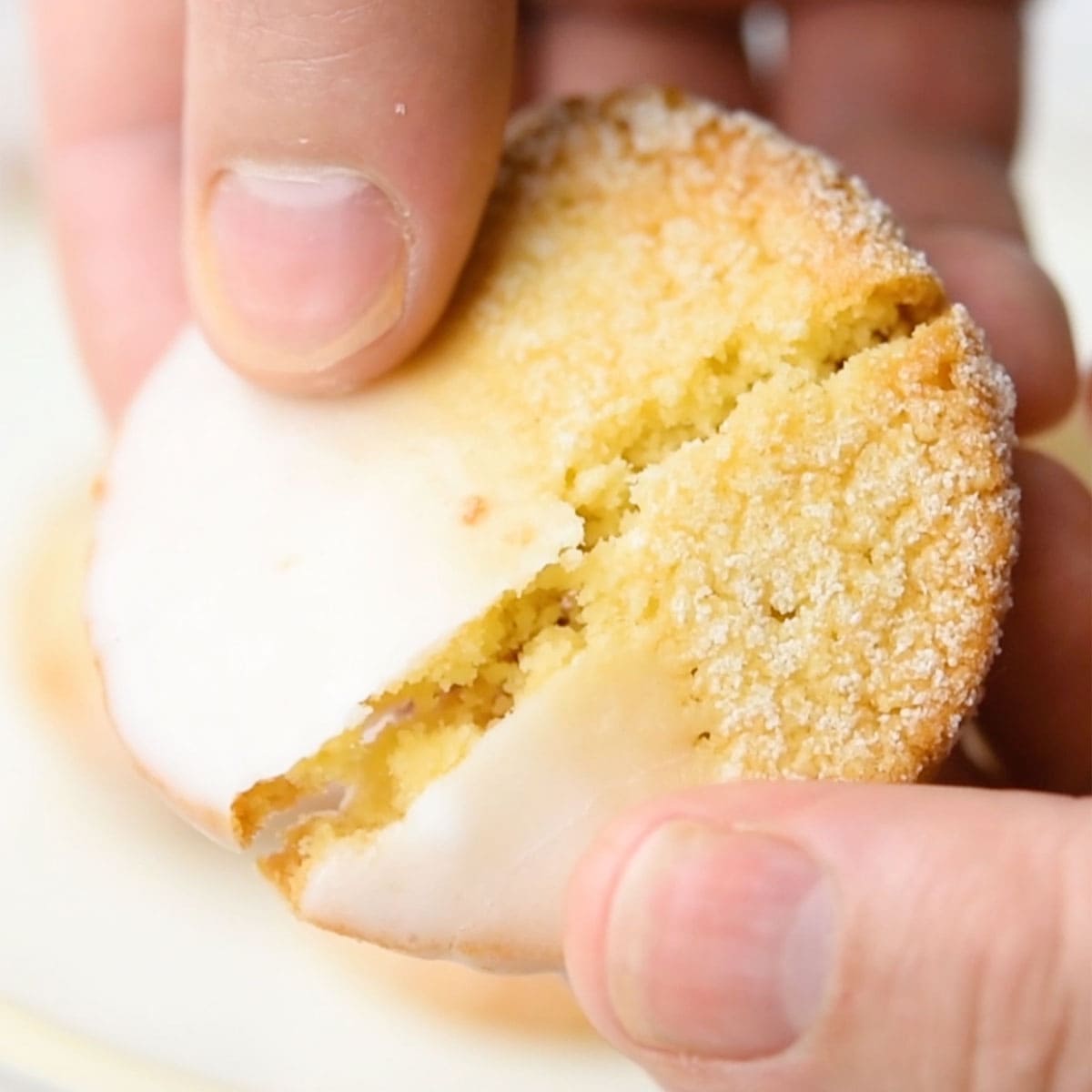 Biscotti Zuccherati Senza Zucchero - Keto!