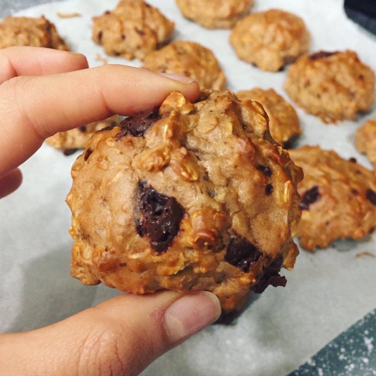 Biscotti Proteici