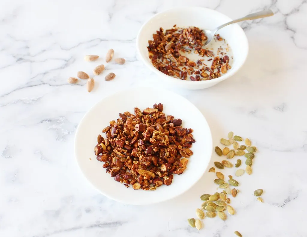Granola Low Carb e High Protein
