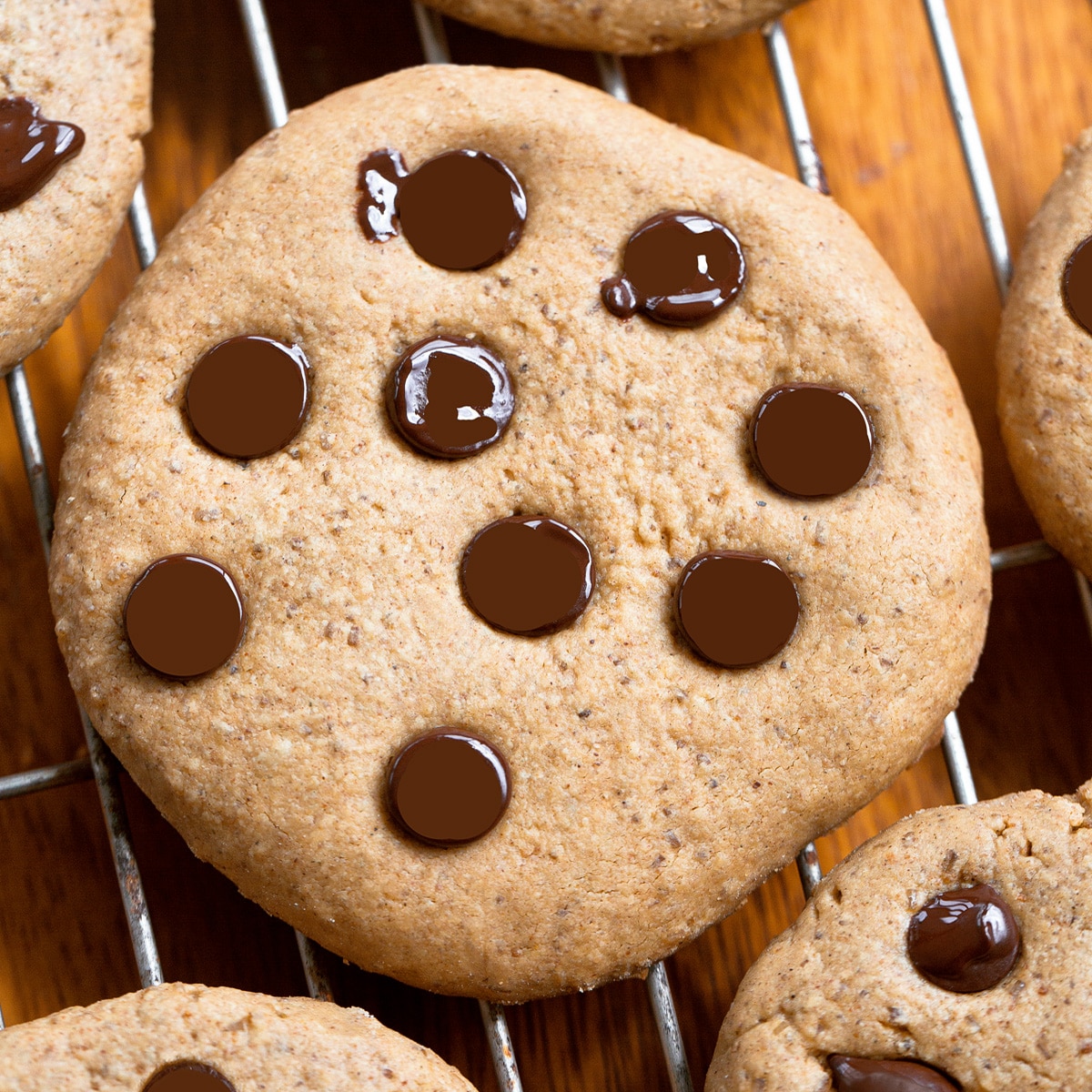 Biscotti Proteici