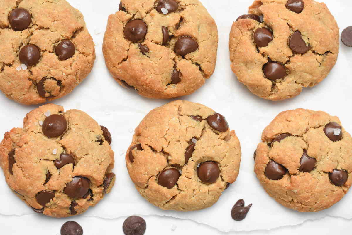 Biscotti Proteici