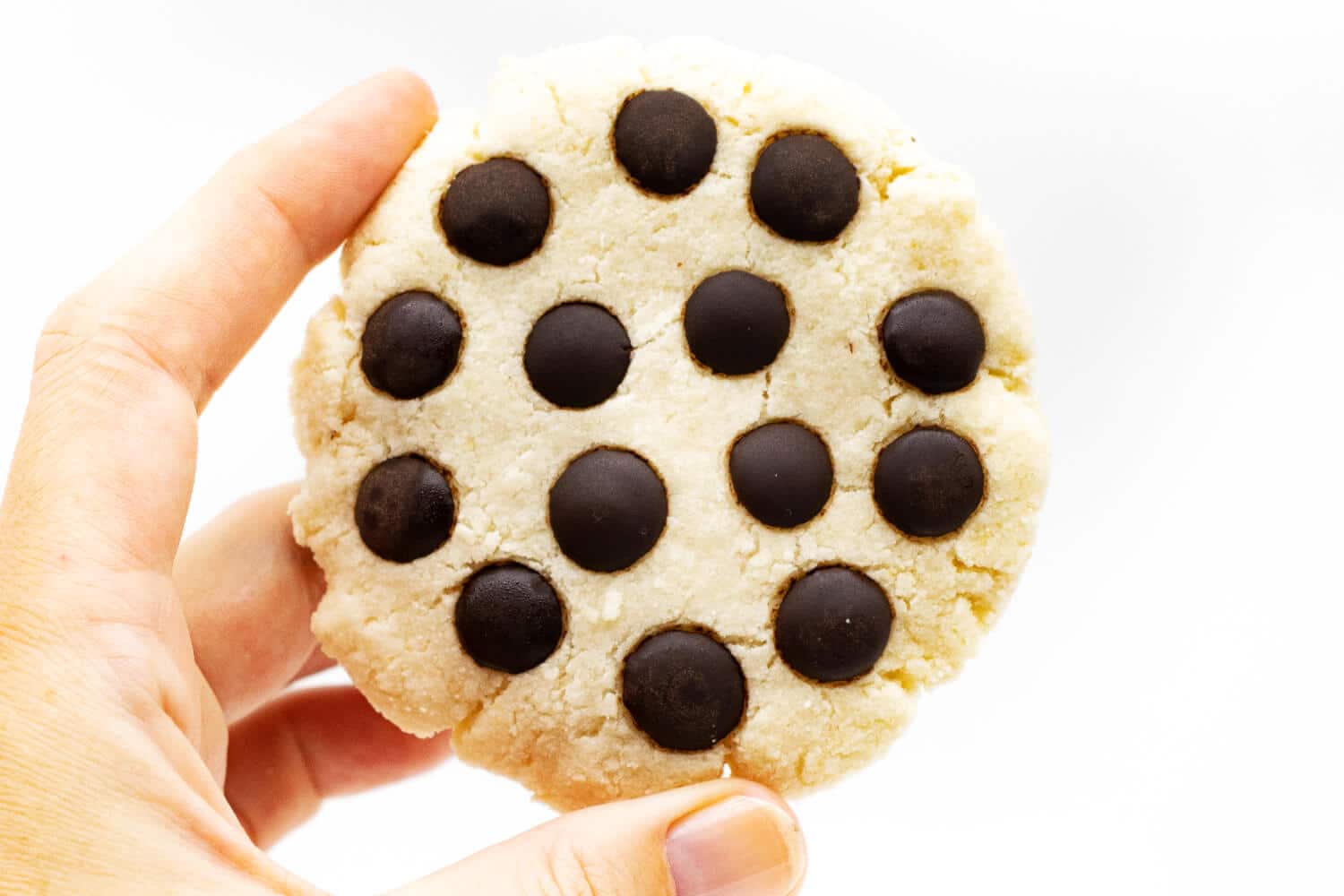 Biscotti Proteici Senza Zucchero