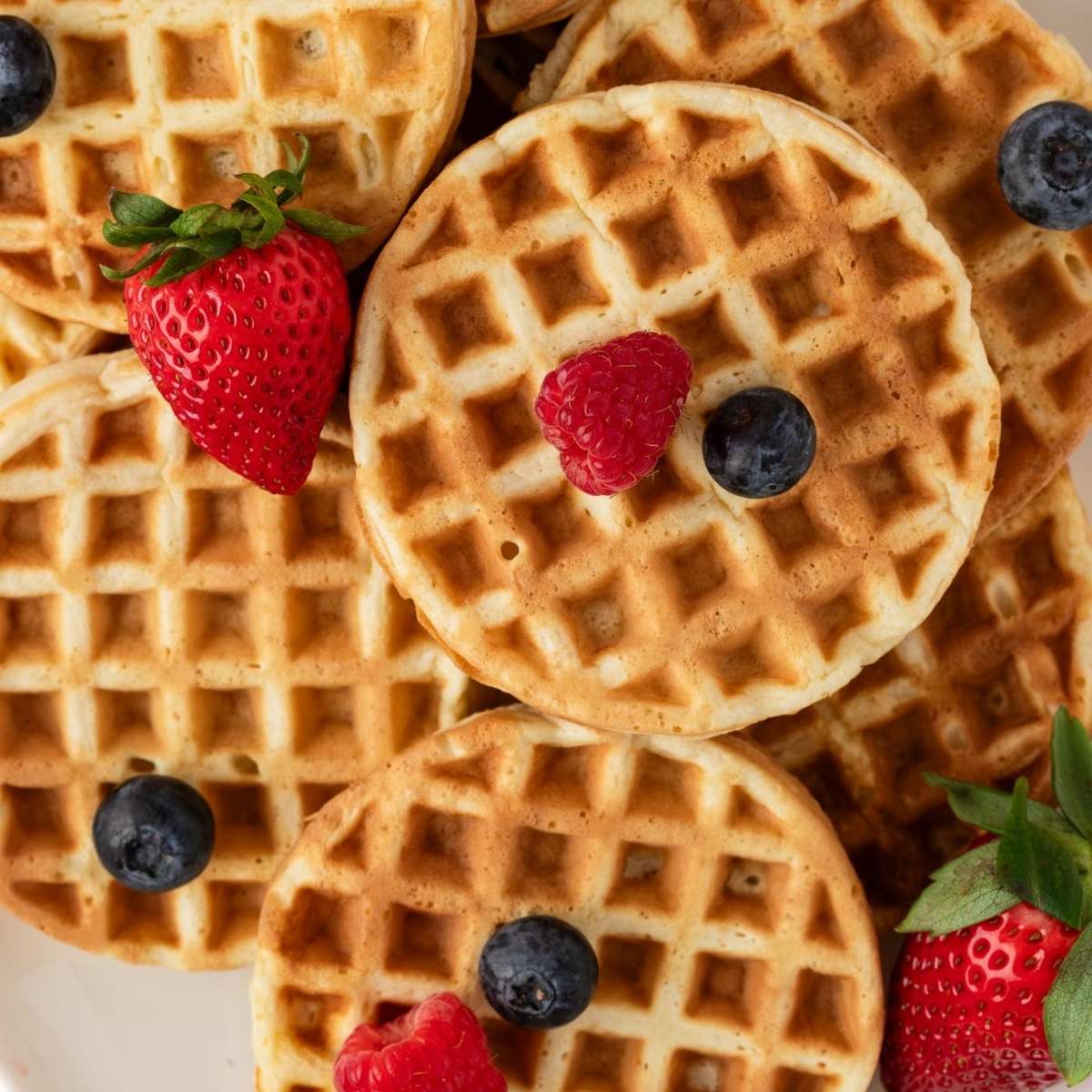 Waffle Proteici (10g ciascuno)